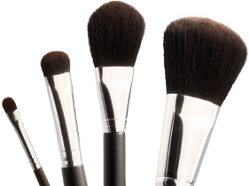  Makeup Brush Manufacturer