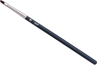 tafre eyeliner makeup brush 305