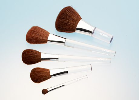cosmetic brush collection lucite